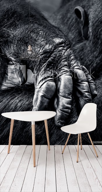 Picture of Gorilla Hand